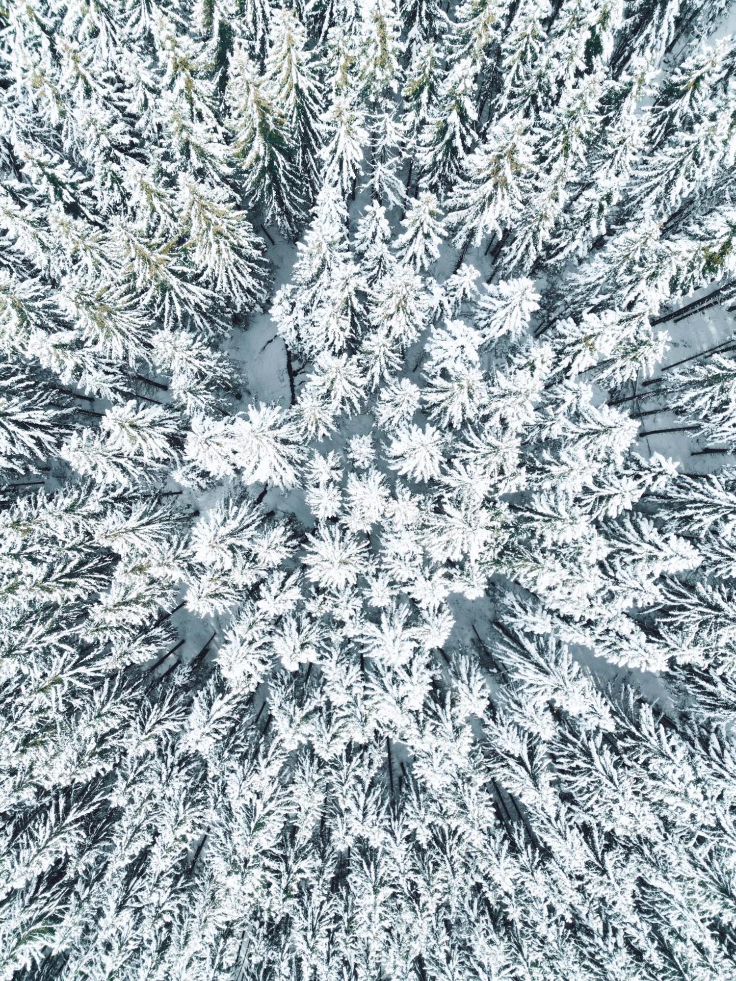 Snoe Hotel Candanchú Zewnętrze zdjęcie
